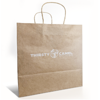 Kraft Paper Bag (Pack of 200 Units)